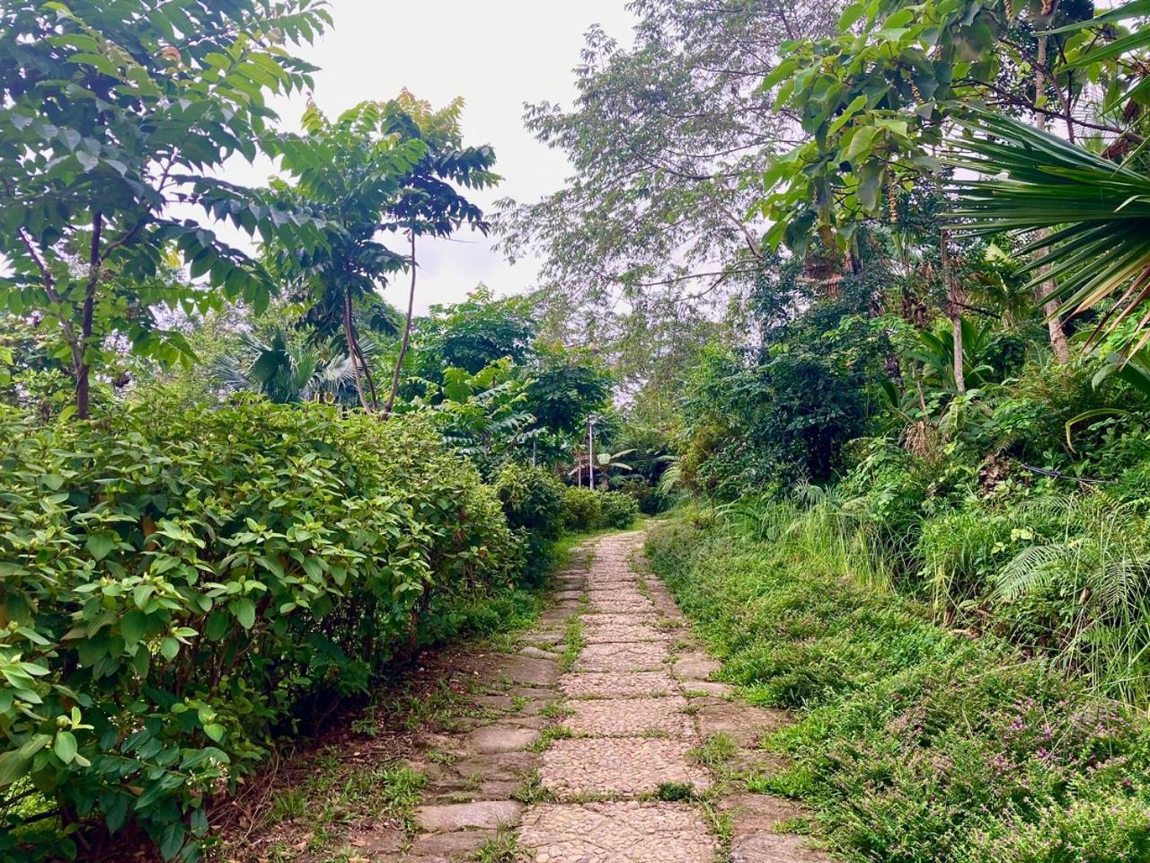 Tvpalm Ecolodge Ha Giang Bagian luar foto