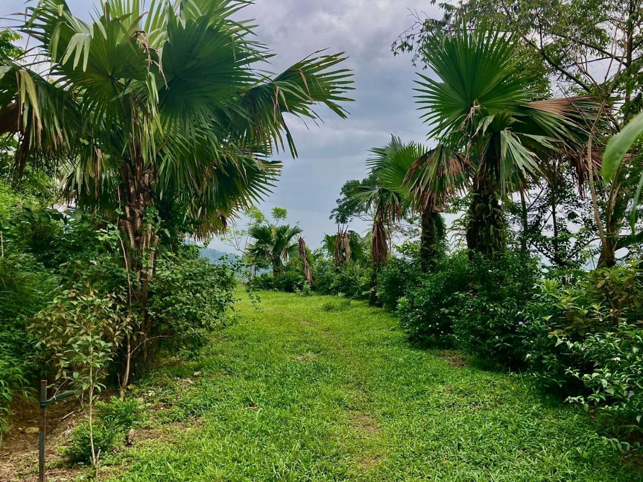 Tvpalm Ecolodge Ha Giang Bagian luar foto