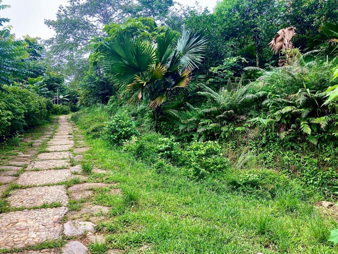 Tvpalm Ecolodge Ha Giang Bagian luar foto