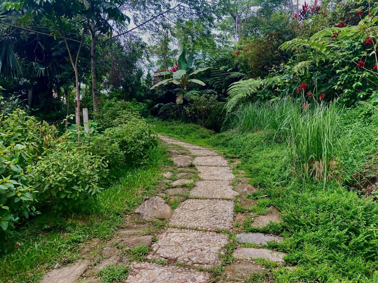 Tvpalm Ecolodge Ha Giang Bagian luar foto